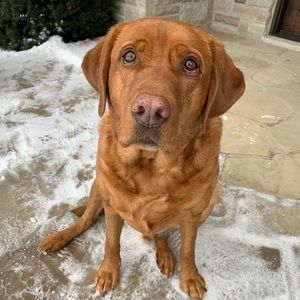 Meet your Posher, Courtney